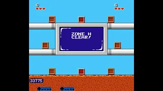 I found an Arbitrary Code Execution method for Chip and Dale NES