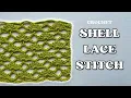 Mastering the Shell Lace Crochet Stitch