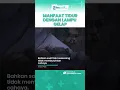Download Lagu Manfaat Tidur dengan Lampu Gelap Bagus untuk Kesehatan Tubuh, Begini Kata dr Zaidul Akbar