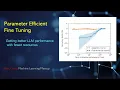 Parameter Efficient Fine Tuning