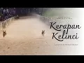 Download Lagu KERAPAN KELINCI PETRAH TERBARU!!!! 