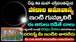 రేపు 10న పోలాల అమావాస్య ఇంటి గుమ్మానికి ఈ ఆకులు కడితే చాలు ఏళ్లనాటి పీడలు పోయి దశ మారిపోతుంది !