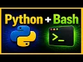 Run Python Scripts with Bash on macOS Beginner Guide