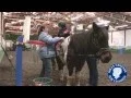 Horse play with a purpose for child with Down syndrome