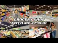 I Spent 150 at ALDI Full Store Walkthrough New Finds Huge Grocery Haul