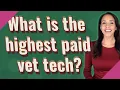What is the highest paid vet tech