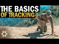 Discover the Basics of Tracking a Person in the Wilderness