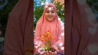 محمد نبينا بنوره هادينا 