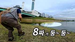 발앞에 8짜가 떠다닌다. (Rising carp are  easy to catch)- 2026 fly fishing EP8(Carp On The Fly 잉어 플라이 낚시)