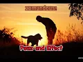 Episode 31 Paws and Effect