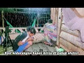 Download Lagu Real kedatangan hujan deras di gubuk shelter || Samapi malam bang dadangs terkurung di kebun