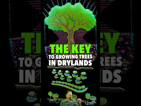 The KEY to Growing Trees in Drylands