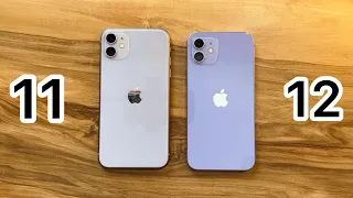 iphone 11 vs iphone 12