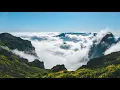 Pandrezz - So Easy