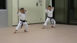 KATA 4 SHOTOKAN HEIAN YODAN 