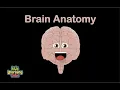 Download Lagu Human Body /Brain Song/Human Body Systems
