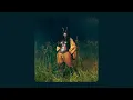SZA - Another Life