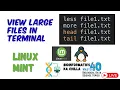 View Large Files Using less more head and tail Commands in Linux Mint Terminal Easy Tutorial