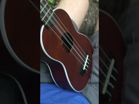 this newt visited me because he liked my ukulele playing