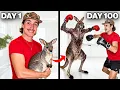Lagu I Raised a Kangaroo to Box Me (100 Day Evolution)