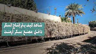                                                                                       دندنها