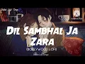 Lagu Dil sambhal ja zara slowed reverb song lofi | phir mohabbat slowed reverb song  lofi | #lofisongs