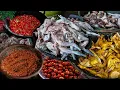 Download Lagu INI BARU PUAS!! AYAM KAMPUNG UTUH CUMA 50.000 BISA BUAT MAKAN SERUMAH