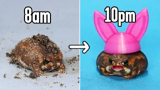 How I keep my Fat Frogs alive (it's very hard)