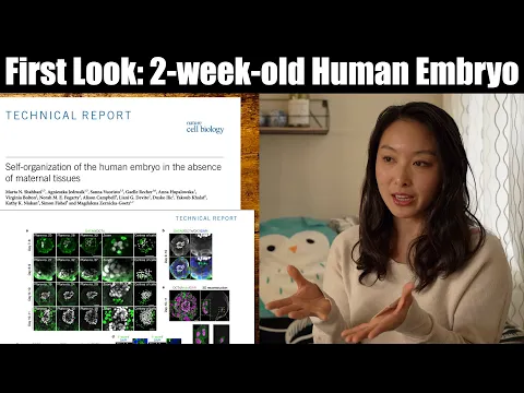 Download MP3 History of Human Embryology Research from 1970 to 2021