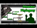 Dinosaur Phylogeny