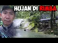 Download Lagu Petualangan Camping Rimba Hujan | Survival Masak \u0026 Mancing