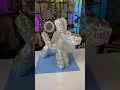 Making a BALOON DOG Papier Mache DIY part 1