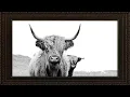 Art Screensaver for TV - Steer