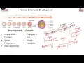 Title Genetic Control of Human Development Genetics BIOSCORE by SCORE Online Coaching