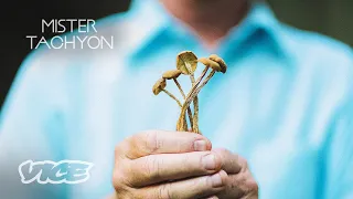 Psilocybin Mushrooms The Path to Higher Consciousness