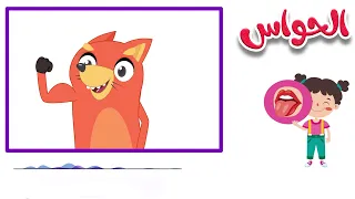 أنا إنسان لي إحساس قناة ثعلوب  أنا إنسان لي إحساس قناة ثعلوب