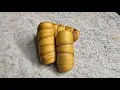 Tequenos a very easy delight to make