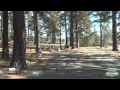 CampgroundViews com - Davis Creek Campground Carson City Nevada NV