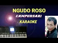 Lagu NGUDO ROSO - CAMPURSARI KOPLO
