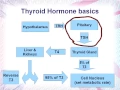 Interpreting Thyroid labs part 1 Low TSH Saul Marcus Naturopathic Doctor