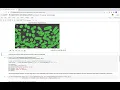 SimpleITK A Simplified Path to Insight Tutorial Segmentation