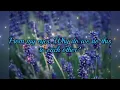 Download Lagu Why Do We Always Hurt The One's We Love - Dan Hill ( lyrics )