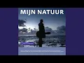 Download Lagu Regen