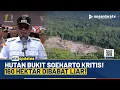 Lagu Darurat! Penebangan Liar di Bukit Soeharto Merusak 160 Hektar Lahan Konservasi | NTV UPDATES
