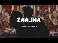 Download Lagu Zaalima (Slowed Reverb) | Rigs |
