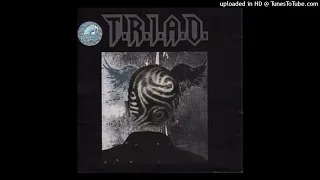 Download T.R.I.A.D - Selir Hati - Composer : Ahmad Dhani 2010 (CDQ) MP3