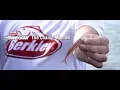 Berkley PowerBait The Champ Minnow Jordan Lee s Favorite Finesse Fishing Bait