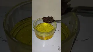 Fill In The Gaps In Your Hair With An Easy Weekly Recipe Routine Recipe Recipes Hair Thicke 