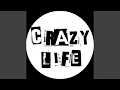 Download Lagu thousand reasons to live
