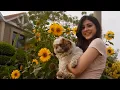 Download Lagu Abdul Hannan \u0026 Rovalio - Iraaday (Official Music Video)